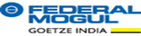 Federal Mogul Auto Parts